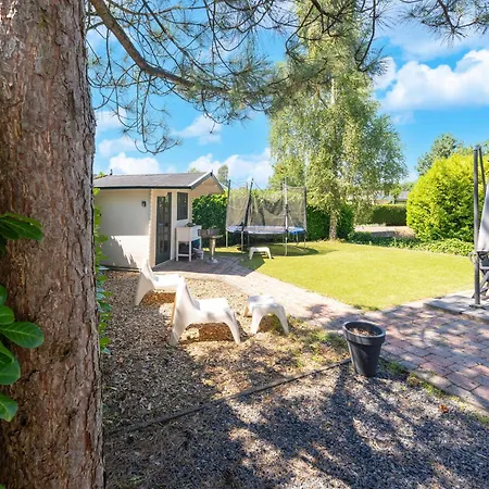 In Near Veluwe Forest *