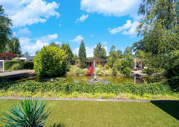 In Near Veluwe Forest