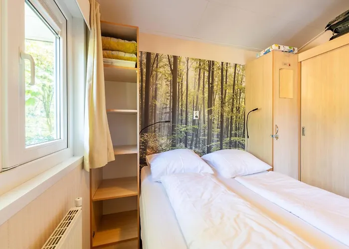 In Near Veluwe Forest * Voorthuizen