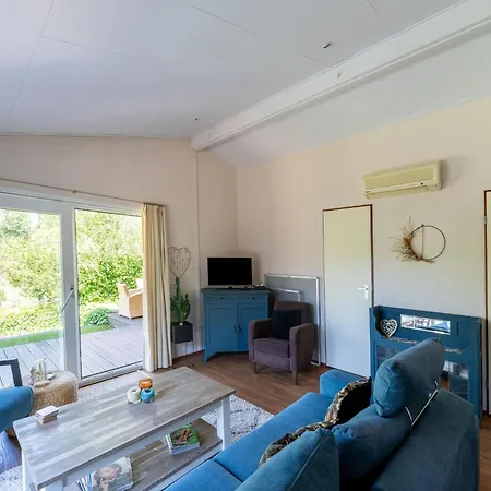 In Near Veluwe Forest