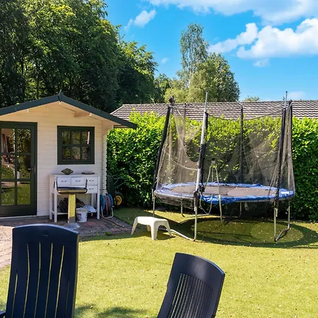 In Near Veluwe Forest