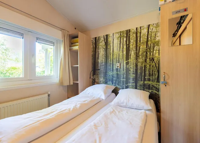 In Near Veluwe Forest * Voorthuizen