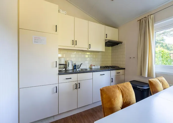 In Near Veluwe Forest