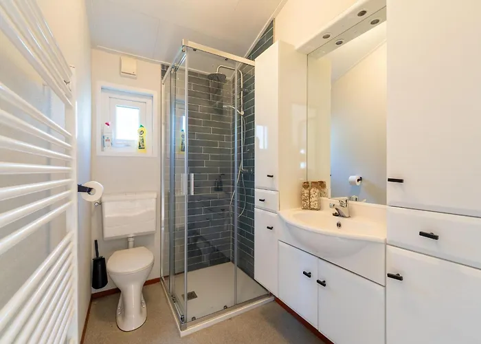 In Near Veluwe Forest