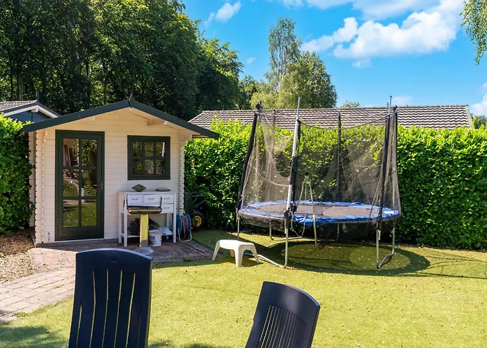 In Near Veluwe Forest